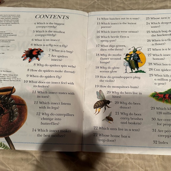 Spiders spin webs and other questions about creepy crawlies- I wonder why - Picture 2 of 6